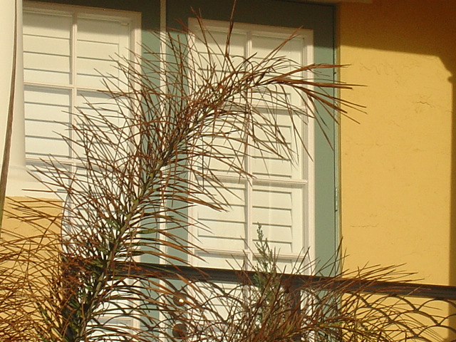 shutters,plantation shutters,window shutters,alu core poly shutters,alba shutters,shutter experts,orlando,florida
